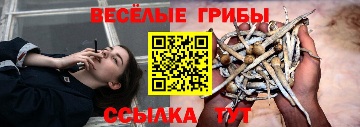 Галлюциногенные грибы ЛСД  Вход с VPN  Коркино  купить наркотик  Галлюциногенные грибы мицелий 